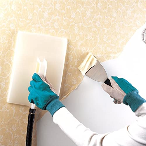 Wagner Spraytech 0282018 1Gallon Wallpaper Steamer for Wallpaper