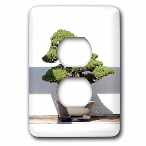 3dRose Bonsai Tree 2 plug outlet cover