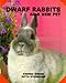 Dwarf Rabbits As a New Pet (As a New Pet Series) by 