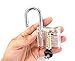 Looching Crystal 5 Pieces Padlock Set with Cutaway Practice Padlock, Style 1