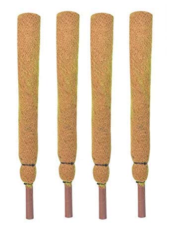Coir garden Coco Pole 2 Feet(61 cm) - 4 Pieces - Moss & Coir Stick for Money Plant Support, Indoor Plants, House Plants & Plant Creepers