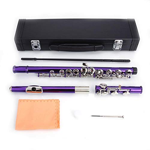DREAMALVA Purple 16 Hole C Closed Hole White Copper Flute + Pass Rod + Cleaning Cloth + Lubricant + Screwdriver