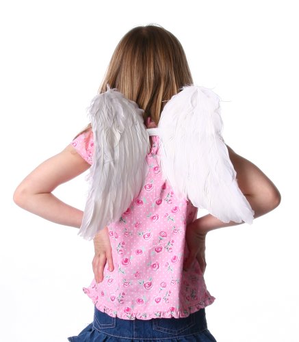 Zucker Feather Products Decorative Feather Angel Wing, Small