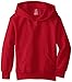 Hanes Boys' Little Eco Smart Pullover Hoodie, Deep Red, x Small