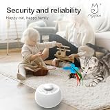 Migipaws Interactive Cat Toy Butterfly & Feather Kitten Toy with Auto Spinning view 11