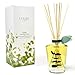 LOVSPA Cleanse Eucalyptus Sage Reed Diffuser Oil and Sticks Gift Set with Real Eucalyptus Leaves – Eucalyptus, Sage, Peppermint, Thyme, Bergamot and Lime Essential Oils