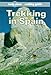 Lonely Planet Trekking in Spain (Lonely Planet Walking Guide) by