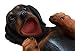 Ebros Black and Tan Sausage Wiener Dachshund Dog Wine Bottle Holder Dog Wine Caddy Figurine 11