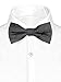 Men's Paisley Pre-Tied Bow Tie - Many Colors Available