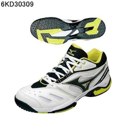 mizuno 2013