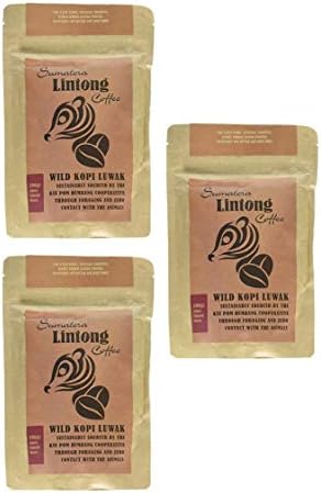 Wild Kopi Luwak, the World’s Most Exclusive Coffee, Sustainably Sourced From Sumatra, Indonesia (100gr / 3.5oz) (3 pack)