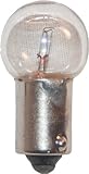 Pack of 10 1895 Miniature Automotive Light Bulb Lamps
