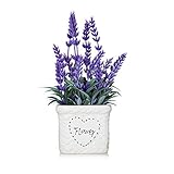 YAPA Potted Lavender Flowers -Small Artificial Plants - Fake Purple Flower with White Ceramic Vase for Home, Party & Wedding Décor