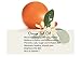 Kneipp Blood Orange & Black Pepper Body Wash, 6.76 Fl. Oz