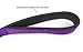 Lambow Jet Storm 8.2 Feet Double Handled Dog & Horse Leash with Tag, Purple