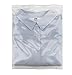 Halulu Resealable Poly Bags Reclosable Plastic Bags Zip Bags, Clear, 2 Mil, Pack of 100 (8