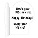 VictoryStore Jumbo Greeting Cards:  Giant Birthday Card (Hippo), 2' x 3' Card with Envelope