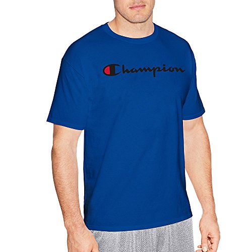 Champion Men's Classic Jersey Graphic T-Shirt, Surf The Web/Champion Script, XL