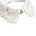 DDLBizWomen Lace Pearl Crystal Diamond Vintage Fake Shirt Collar Necklace Choker Collar