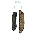 SB Organics Royal Black - Wild Caught Sea Cucumber Dried All Natural Nutritious - 8 oz.