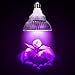 OxyLED LED Grow Light Bulb, Hydroponic Plant Grow Lights for Greenhouse (E26 12W 3Blue/9 Red LEDs)