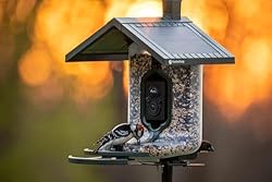 FeatherSnap Scout Wi-Fi Solar Powered Smart Bird