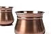 H Potter Succulent Planter Plant Pot with Tray Set of 2 Outdoor and Indoor Use Round Flower Herb Box for Home Patio Garden Deck Balcony Antique Copper Gar607a