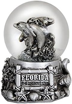 Americaware PSGFLA45 45 mm Florida Snow Globe