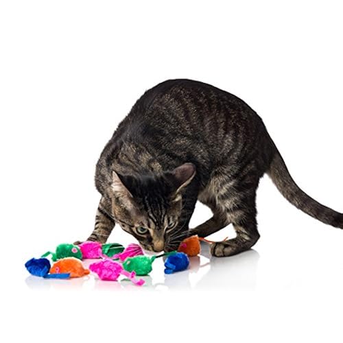 Hartz Just For Cats Kitty Frenzy Cat Toy Pet Supplies, Cats, Toys, Mice & Animal Toys