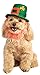 Rubie's St. Patty's Day Pet Costume Hat with Beard, Medium/Large
