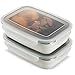 Komax Stenkips Stainless Steel Food Storage Lunch Container 18.9oz. (set of 2) - Airtight, Leakproof With Locking Lids - BPA Free Plastic - Freezer and Dishwasher Safe