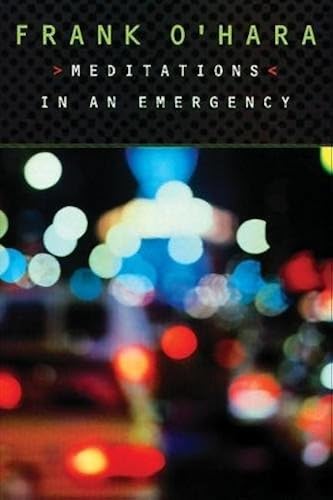 Download Meditations in an Emergency PDF