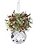 Kissing Krystals Acrylic Mistletoe Hanging Ornament- Assorted Shapes for Christmas