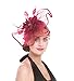 Fascinators Hat Flower Mesh Ribbons Feathers on a Headband and a Clip Tea Party Headwear for Girls and Women(TA1-Burgundy)