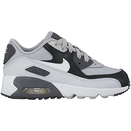 Nike Air Max 90 LTR (PS) Boys Running-Shoes 833414 (B00DPSPUSG) | Amazon  price tracker / tracking, Amazon price history charts, Amazon price  watches, Amazon price drop alerts | camelcamelcamel.com