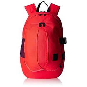 Reebok Polyester Pink Laptop Bag (AE5813)