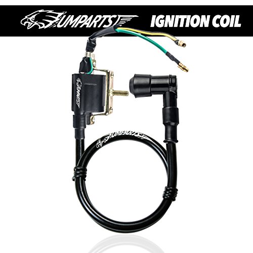 (IC2) UMPARTS 2 wire pin Black ignition coil Spark plug parts for TaoTao youth KIDS ATV 4 Quad Wheeler 110cc Tao Tao ATA-110F / ATA-110-F / ATA 110 F / ATA110F