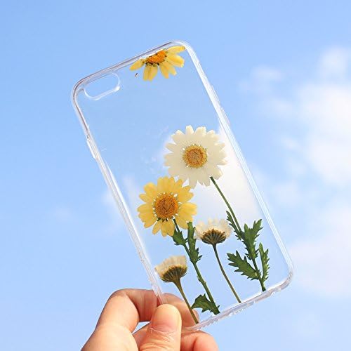 Rebbygena Beuatiful iPhone 5s Case Real Daisy Flower iPhone 5 Case Crystal Clear Women iPhone Case and Cover