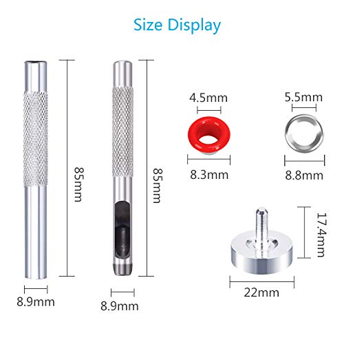 6 Grommet+MEZOOM+Multi+Color+Transparent+Projects