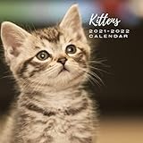 Kittens 2021 - 2022 Calendar: July 2021 to December