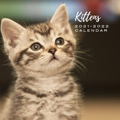 Kittens 2021 - 2022 Calendar: July 2021 to December