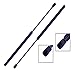 Tuff Support 2 Pieces (Set) Liftgate Lift Supports 2001 To 2007 Toyota Sequoia