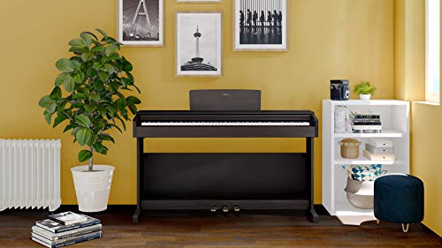 Yamaha Arius YDP-144 Console Digital Piano - Rosewood Bundle with Furniture Bench, Headphones, Keyboard Stickers, Instructional Book, Austin Bazaar Instructional DVD, and Polishing Cloth