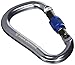 Black Diamond RockLock Screwgate Carabiner One Color, Screwgate
