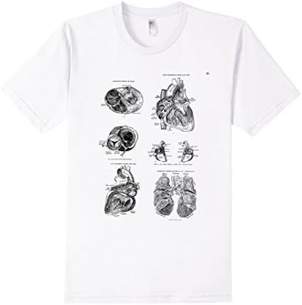 Men's Human Anatomy Art Tee T-shirt Chambers of the Heart Small White