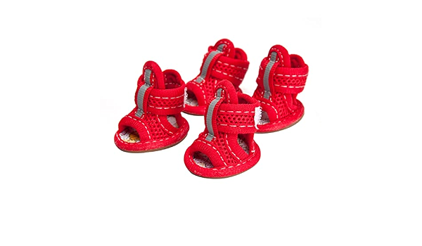 EWRTM Zapatos de Malla para Perros, 4 pzas, cómodas Zapatillas de Malla  para Mascotas de Aspecto Agradable Rojo 2# : Amazon.com.mx: Productos para  animales