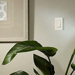 Lutron Diva Dimmer Switch for Halogen and