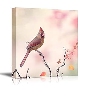 Birds Flowers Owls Butterflies Home Artwork for Living Room Bedroom