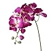 Ximkee 1 x Artificial Butterfly Orchid Flower Plant Home Decor Fuchsia (1pcs, Fuschia)