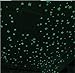 FULLIN Room Sticker Glow In The Dark Star Shape for Ceiling Wall Kid Bedroom Stickers 100Pcs Packing 3 CM Blue Color